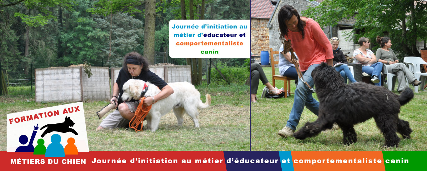 Formation aux métiers du chien dans la province de Namur Formation aux métiers du chien dans la province de Namur