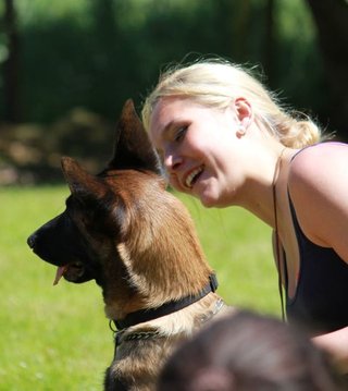 Sélection d'un chiot pour la police ou la sécurité