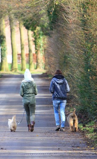 Le métier d'éducateur canin est une vrai passion pour le chien