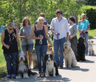 Qualités d'un éducateurs canins 