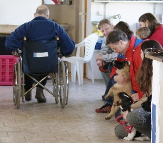 Obéissance canine adaptée 