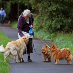 Le chien médiateur pour les personnes âgées