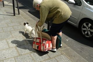 Chien médiateur au service des personnes malentendantes