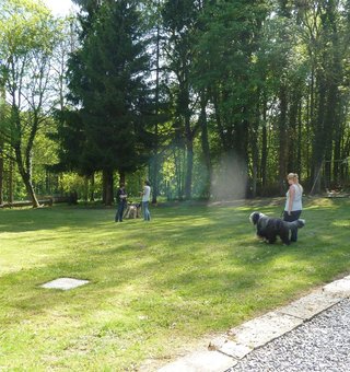 Centre de formation en éducation canine