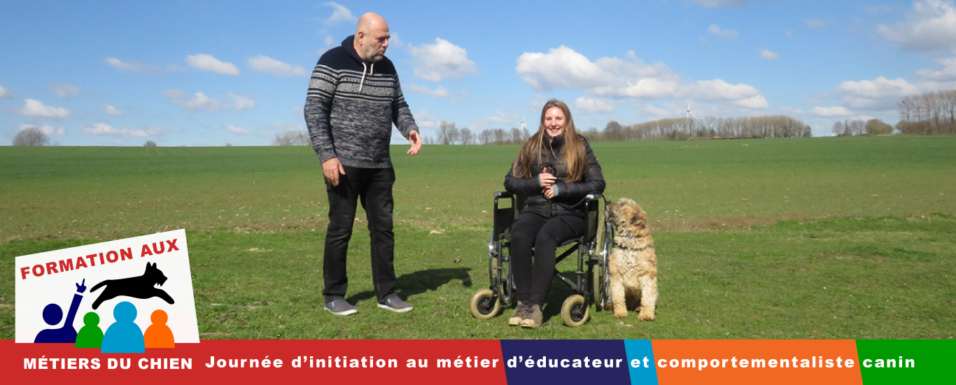 Formation Canine éducateur et comportementaliste canin