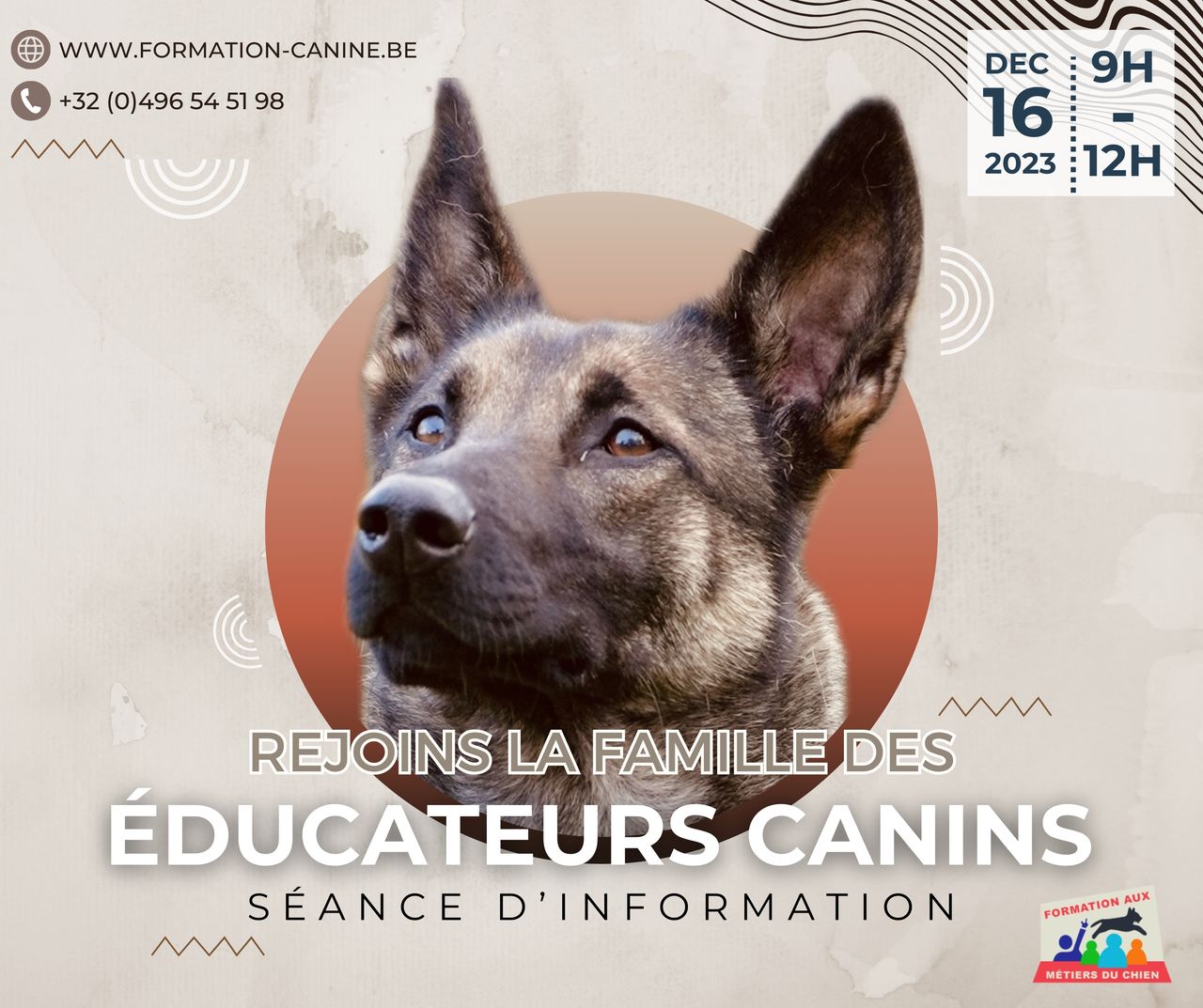 initiation en éducation canine comportementalisme canin