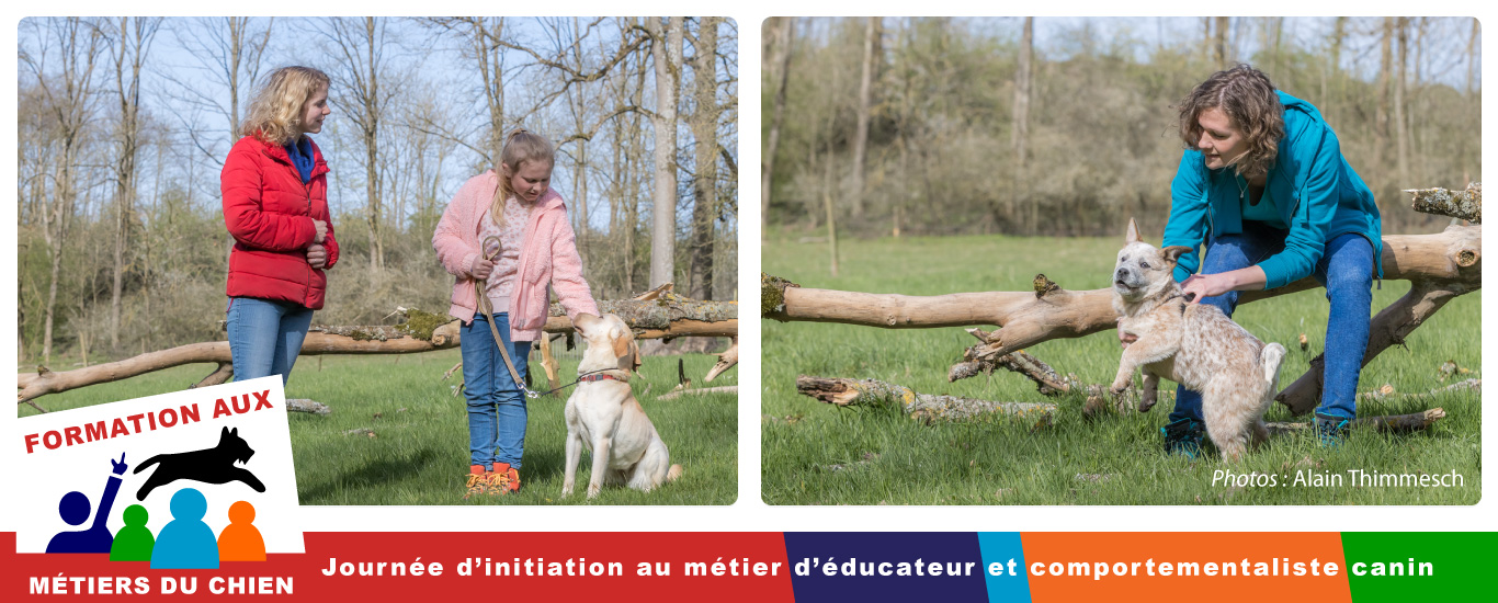 initiation en éducation canine comportementalisme canin