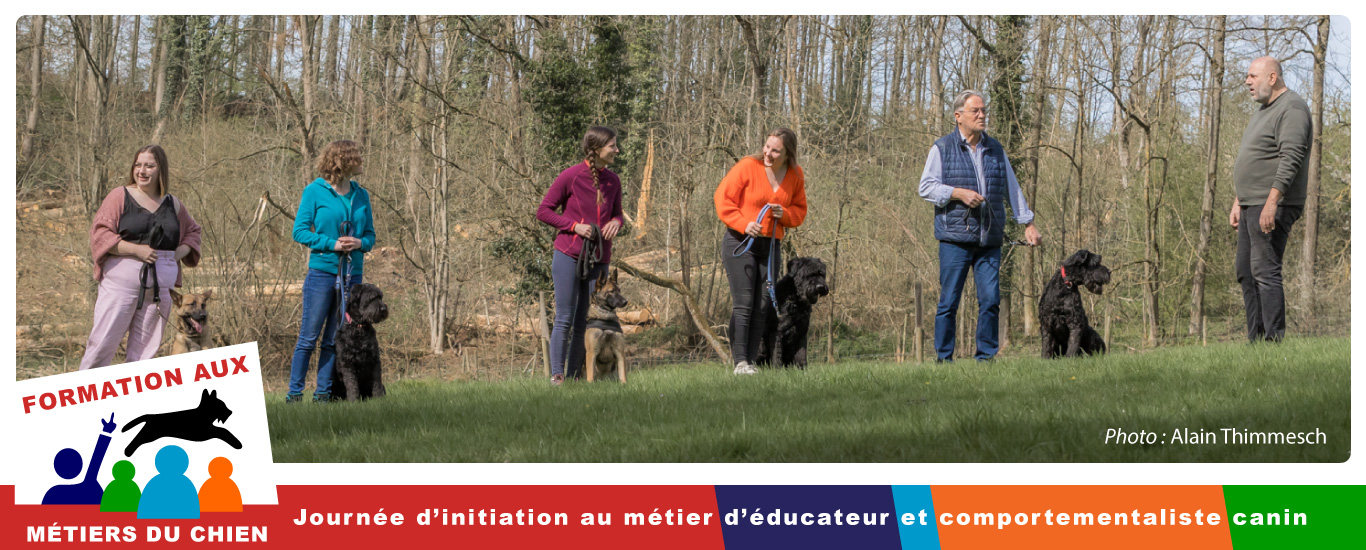 initiation en éducation canine comportementalisme canin