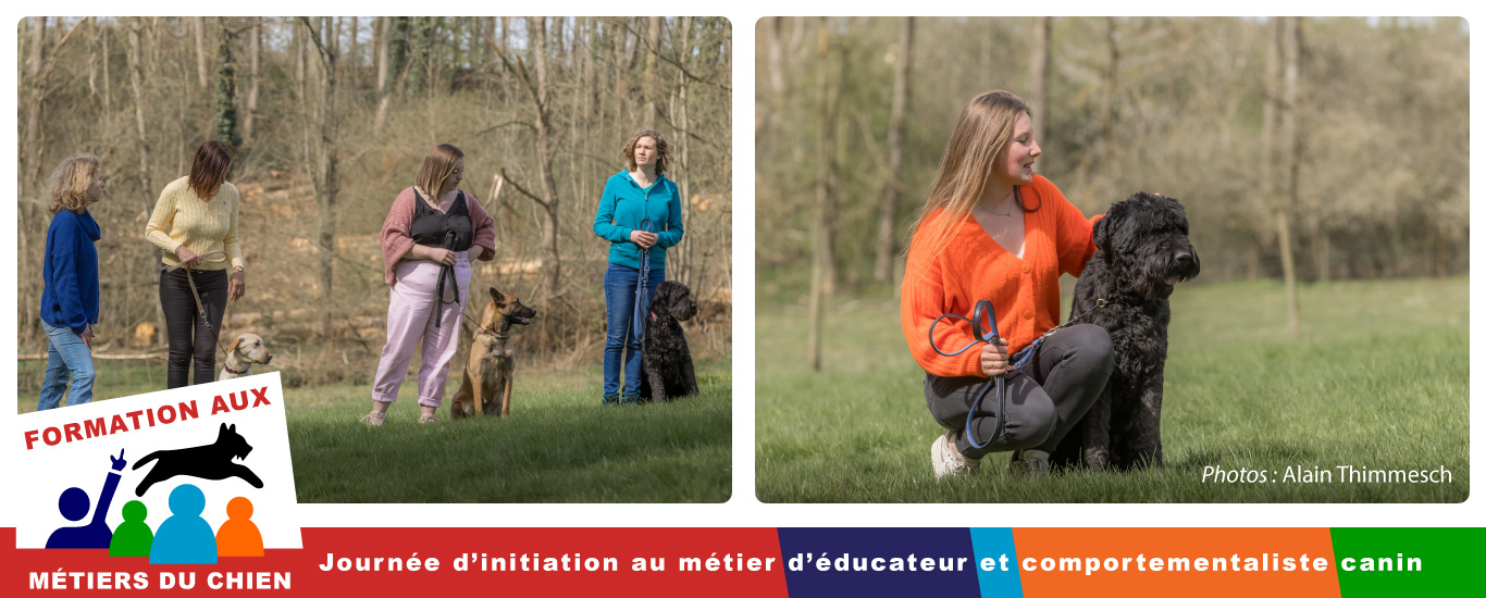 initiation en éducation canine comportementalisme canin