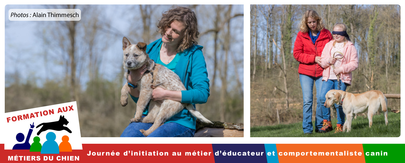 Formation Canine éducateur et comportementaliste canin